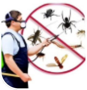 Pest Control